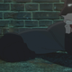 Illustration for article titled Incredible Detailed Spoilers For Wanted